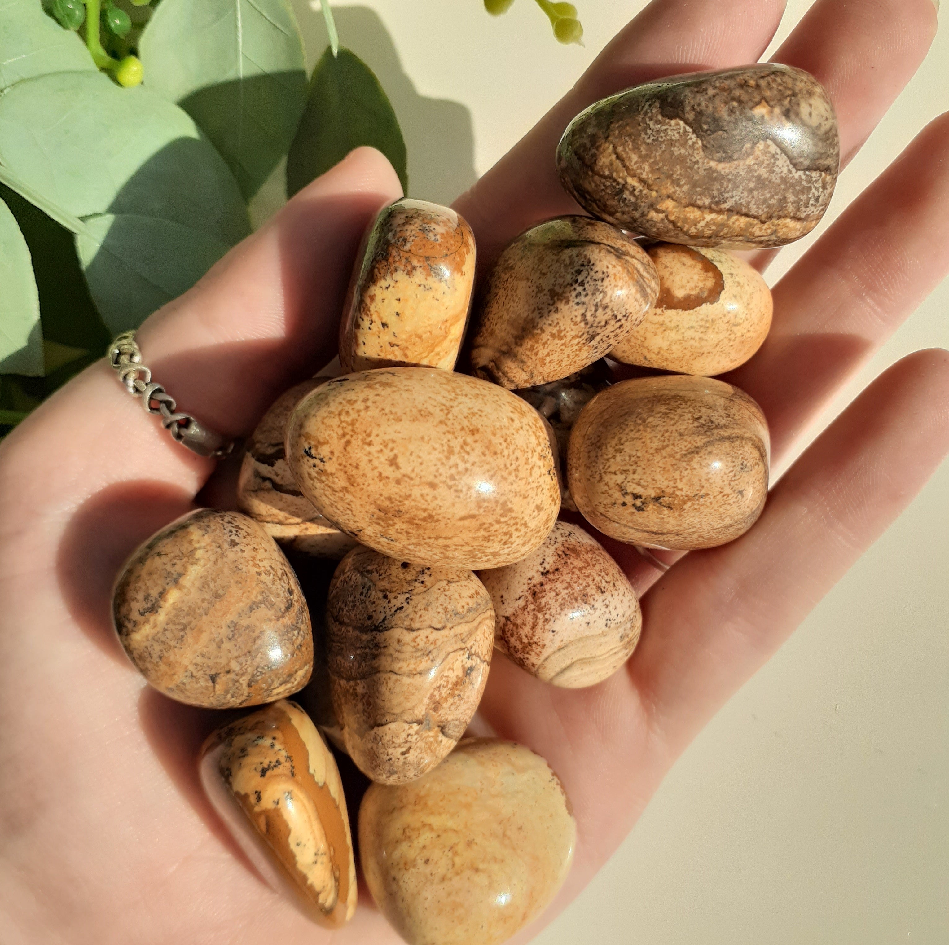 Picture Jasper Tumbled 200gms (13-16pc) Picture Jasper Tumbled 200gms (13-16pc)